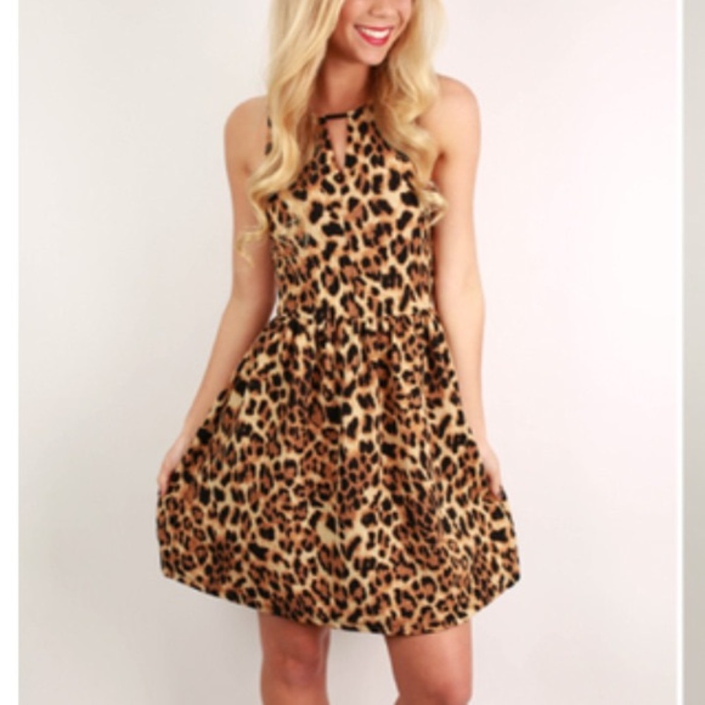 Red Dress Boutique Everly Cheetah Print Dress